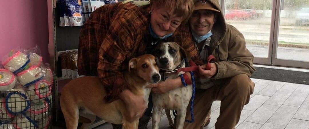 172103459_1853921511456779_952270136183533219_n